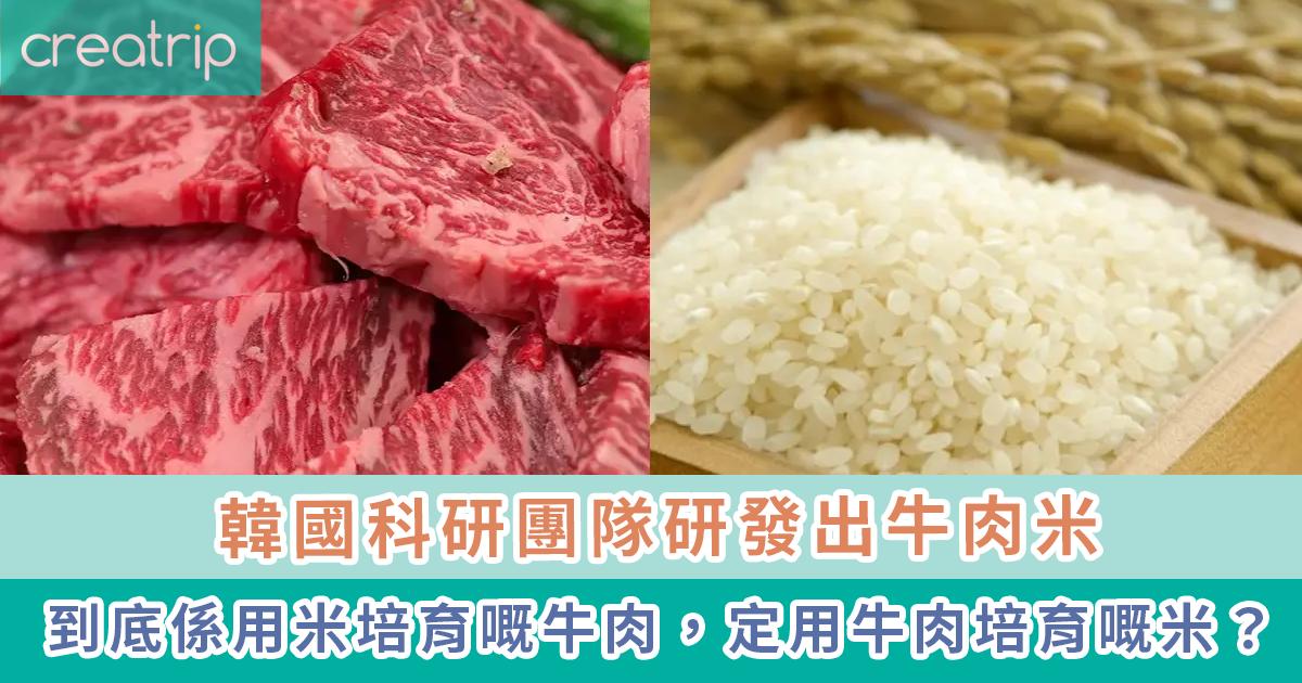 韓國科研團隊研發出牛肉米