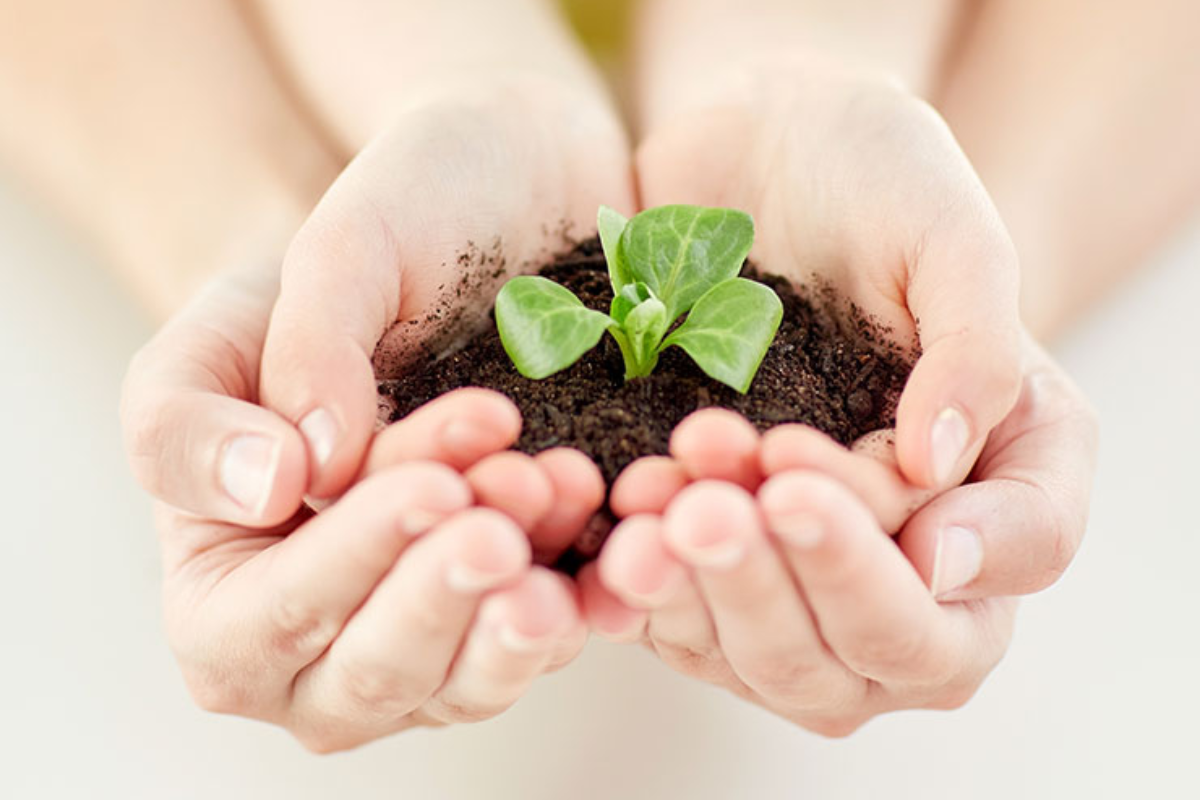 牛肉米 味道 口感 商業化 商品化