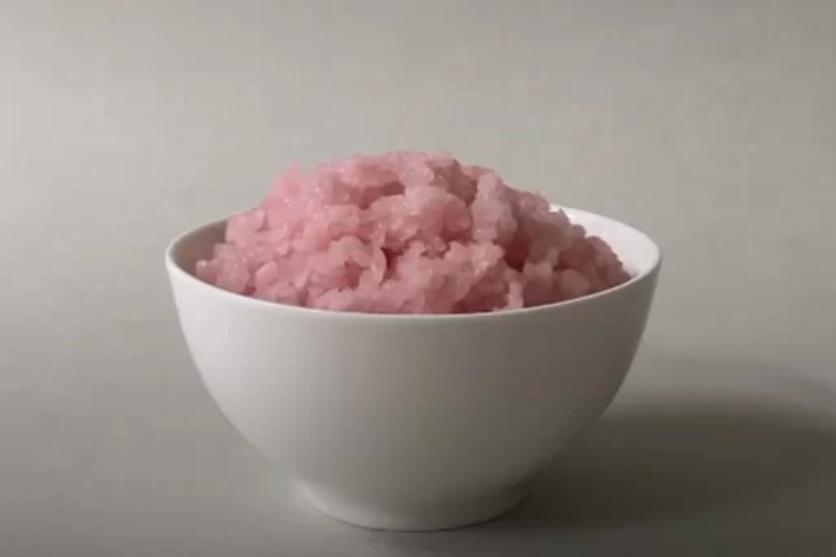 替代食物 環保 環保食材 牛肉米 肉質米 韓國科研 最新研究 環保 飢饉 食物不足問題