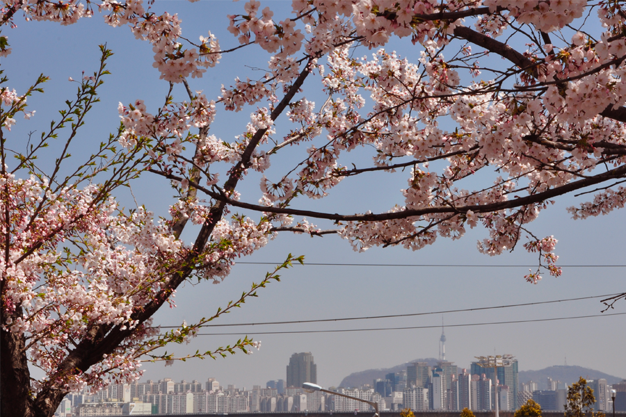 韓國首爾 釜山 3月溫度 氣溫 天氣 穿搭 三月韓國平均溫度