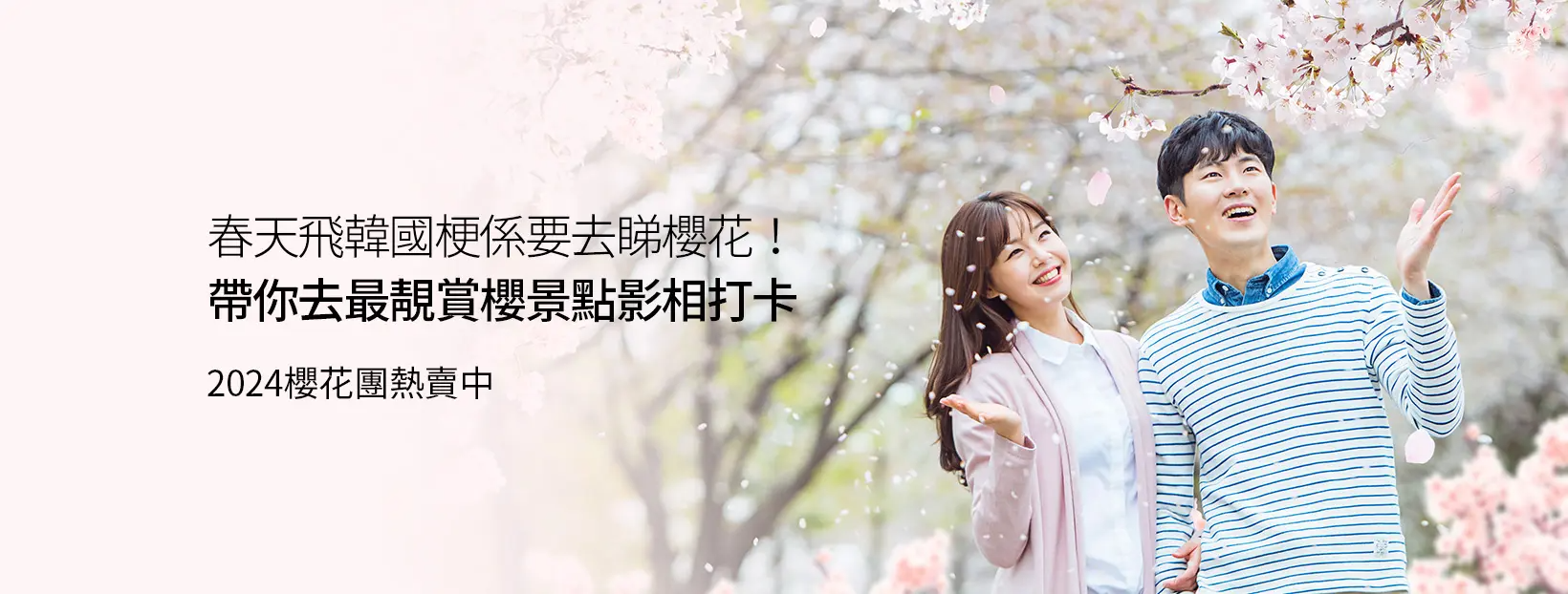 帶你去韓國賞櫻秘境，2024年櫻花團熱賣中。櫻花樹下的兩人正享受美麗的春天氣氛。