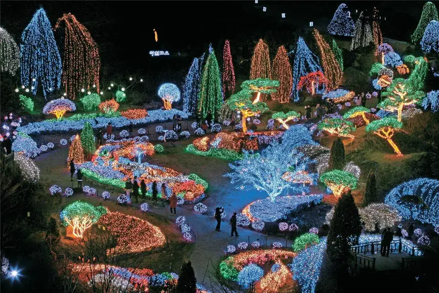 晨靜樹木園五色星光庭園展的夜景，園內被各種色彩繽紛的燈光裝飾，營造出夢幻般的氛圍。