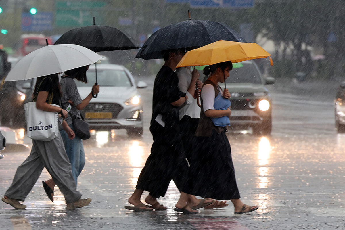 一群人在雨中走路，撐著不同顏色的雨傘，包括黑色和黃色，展示了韓國梅雨季的典型街景。