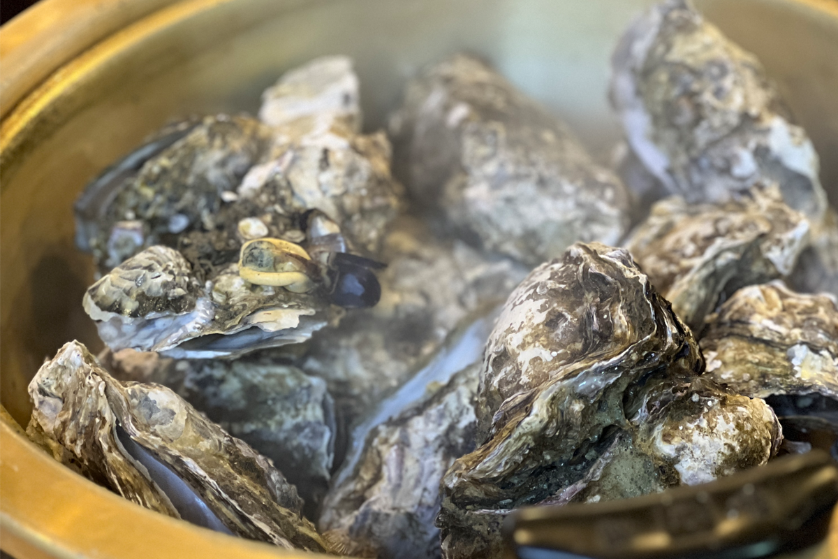 韓國紅蟹 海鮮 烤貝類吃到飽 推薦 2025