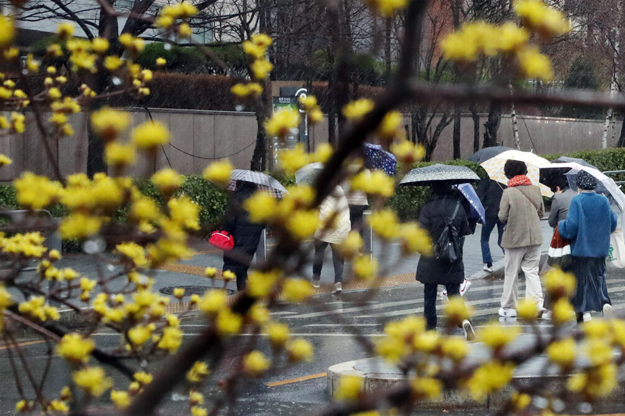 2025 韓國4月 韓國天氣 溫度 韓國穿搭 首爾四月天氣 釜山四月天氣 溫度 韓國4月冷嗎 會下雨 櫻花季穿搭 冷 下雨 溫度推薦穿搭 搭配