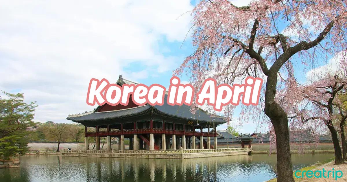韓國4月天氣&穿搭小貼士