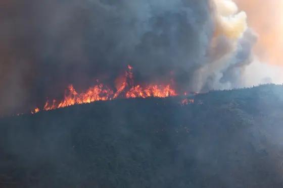 韓国の春の山火事の様子。燃え盛る炎と煙が山の斜面を追い焼く様子が映っています。乾燥した春の季節に特に注意が必要です。