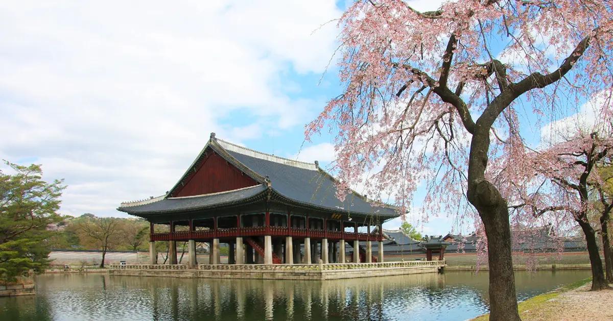 South Korea Travel Guide: April 2024 Edition | Weather & Trending Activities
