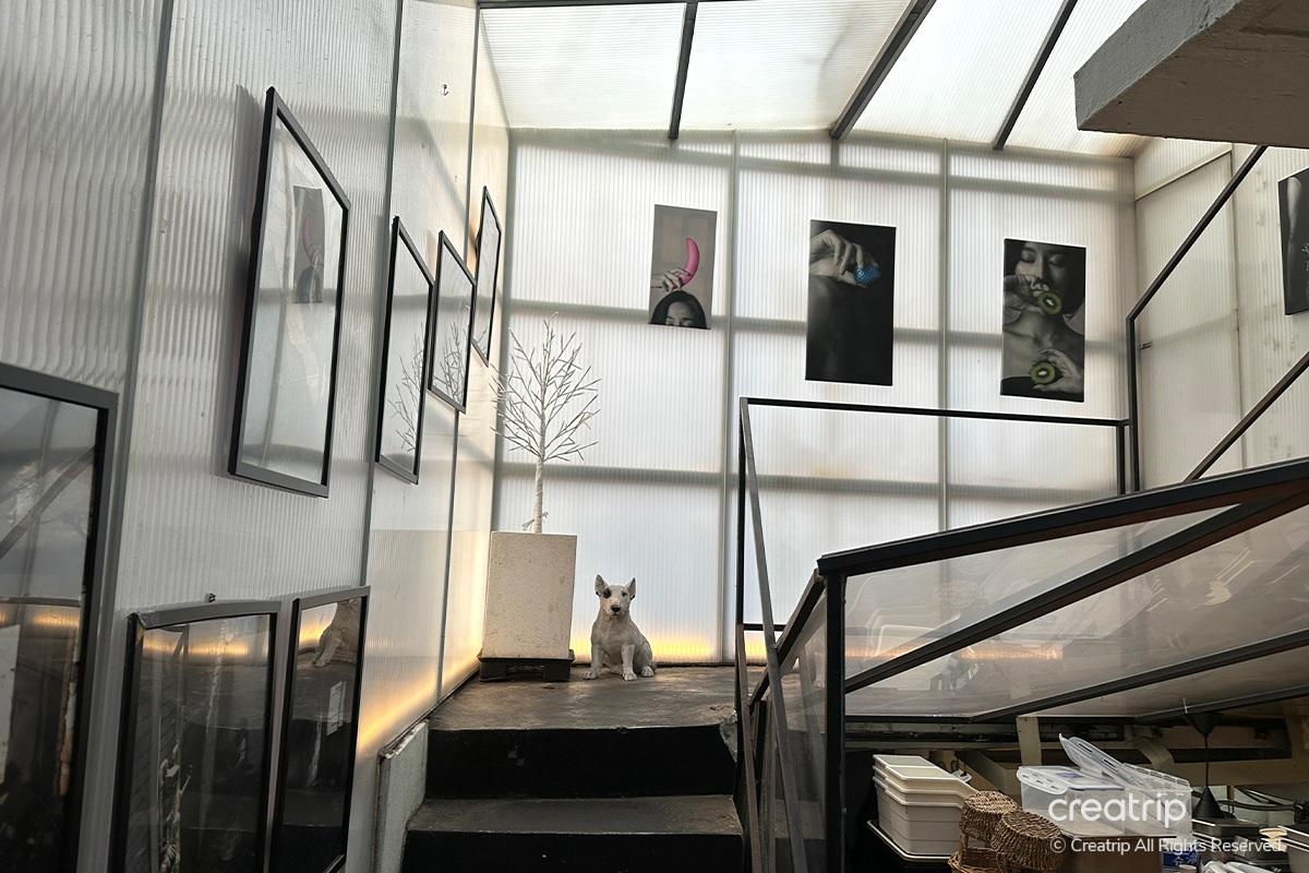 东大门 东大门设计广场 东大门历史文化公园站 水果拼盘 东大门历史文化公园站餐厅 水果沙拉 义式马铃薯饺 鸡尾酒 东大门鸡尾酒吧 威士忌 东大门餐厅 鸡尾酒吧 东大门调酒