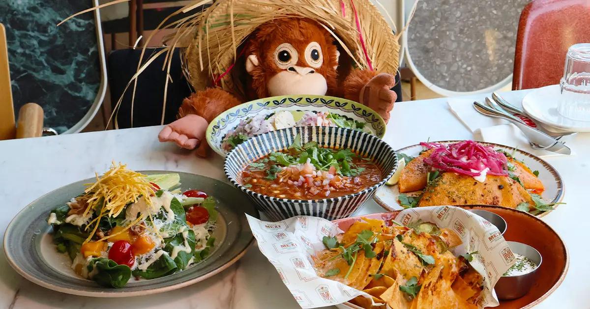 Itaewonㅣbistro MEXI дахь латин маягийн лоунж бааранд Мексикийн уур амьсгалыг мэдрээрэй.