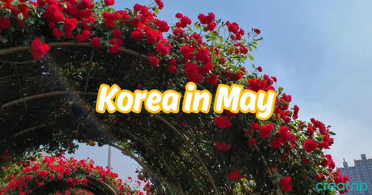 韓國5月天氣&穿搭小貼士