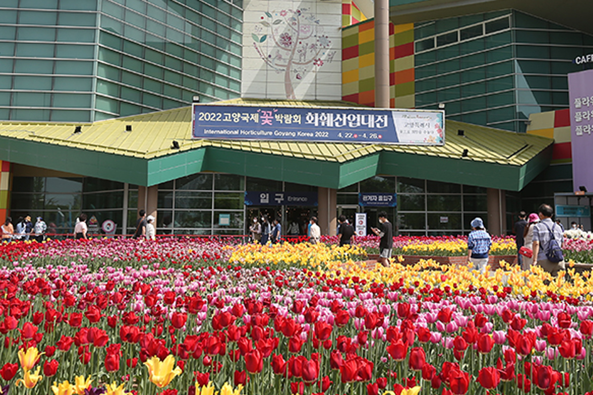 2026年 國際花卉 5月