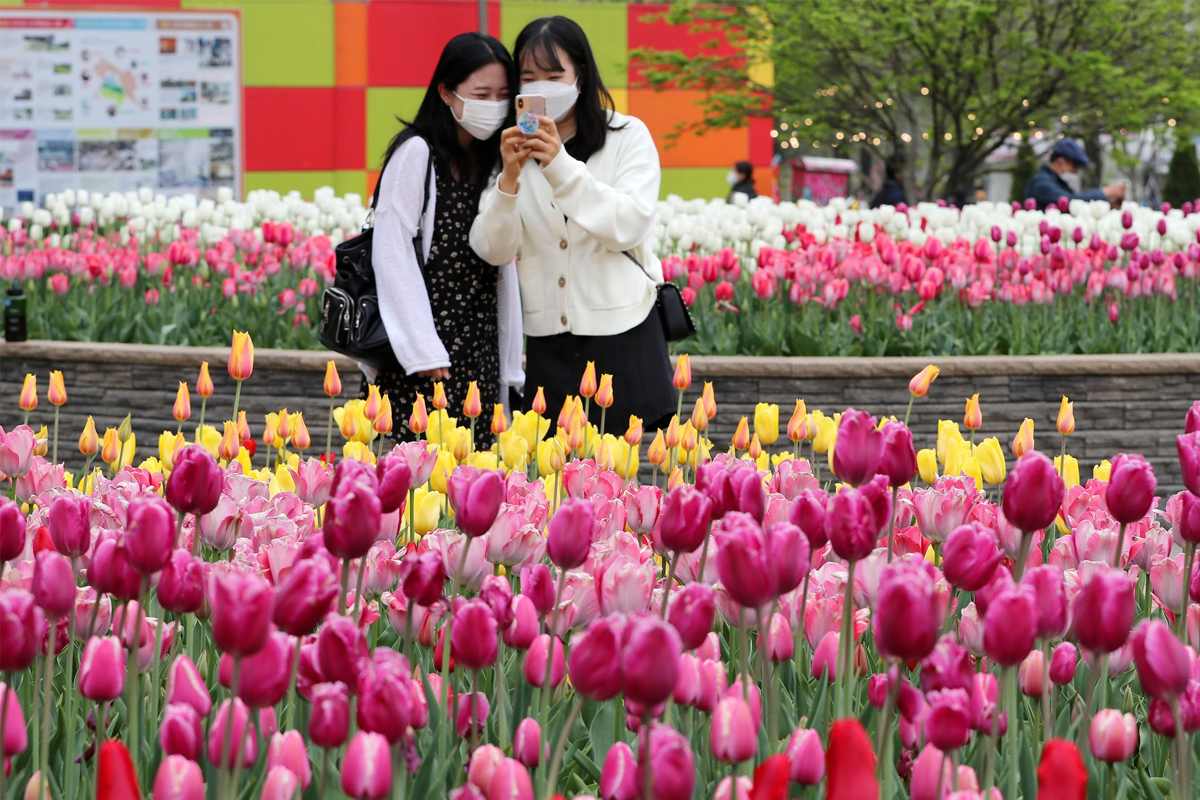 韓國 05月天氣 首爾5月天氣 穿搭 5月釜山天氣 怎麼穿 韓國5月氣溫 春天溫度