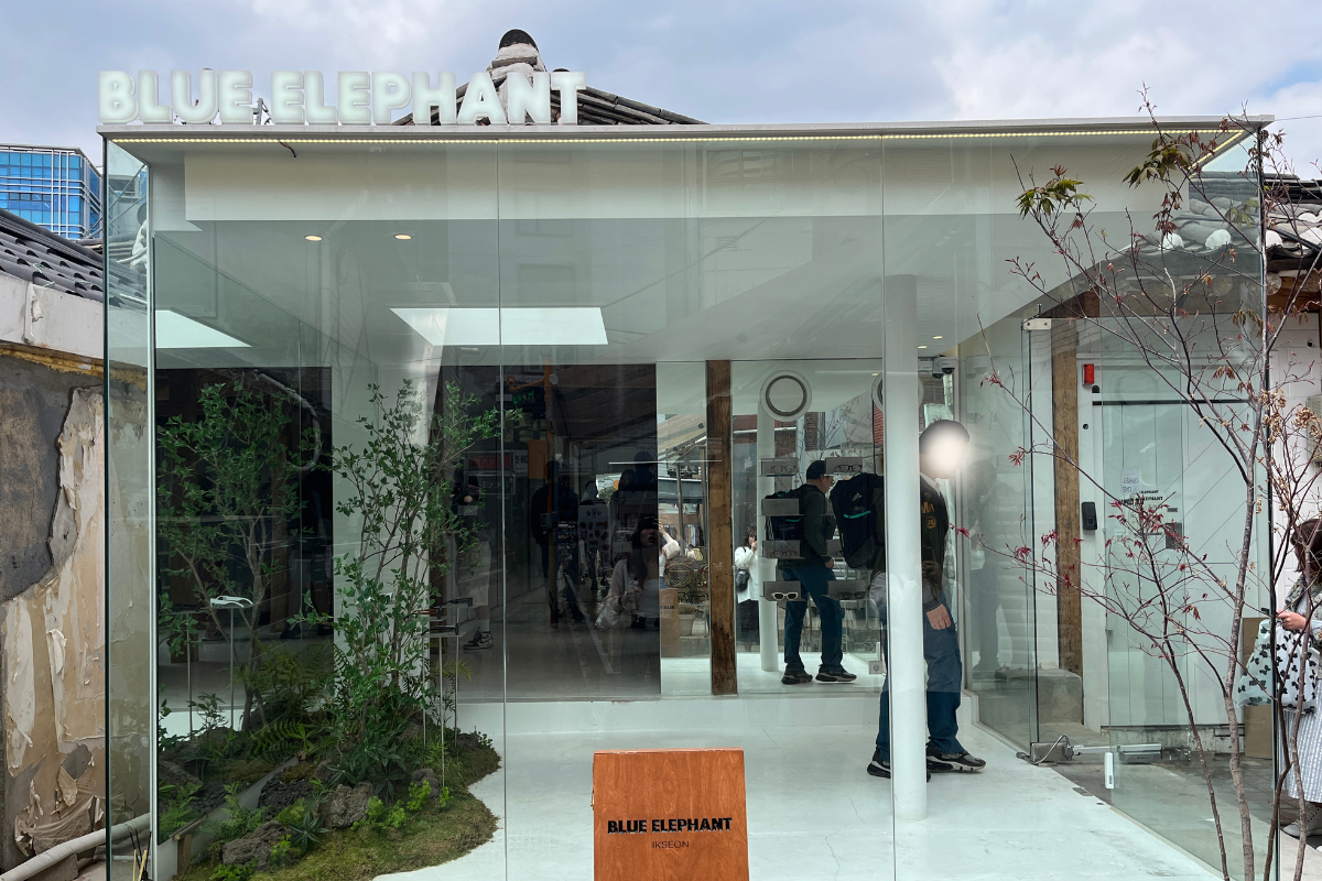 ร้านแว่นตา Blue Elephant ในอิกซอน-ดง โดดเด่นด้วยการออกแบบทันสมัยและกระจกใสที่เรียบง่าย