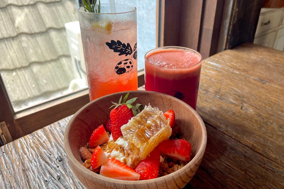 韓国グリークヨーグルト、グリークヨーグルト、ギリシャヨーグルト、ドトリ、DOTORI、どんぐりカフェ、LAZY YOGURT、Greek Day、THANKS, OAT、YOU NEED MY YOGURT、韓国カフェ、韓国朝ごはん、韓国朝活