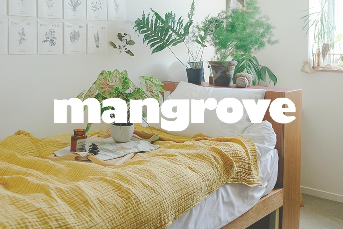 Mangrove 共享住宅｜新村、新設店