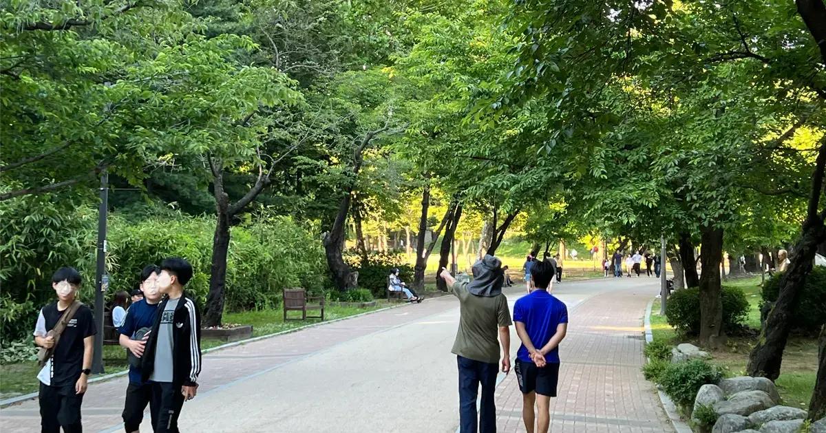 首爾「兒童大公園」票價/探訪攻略