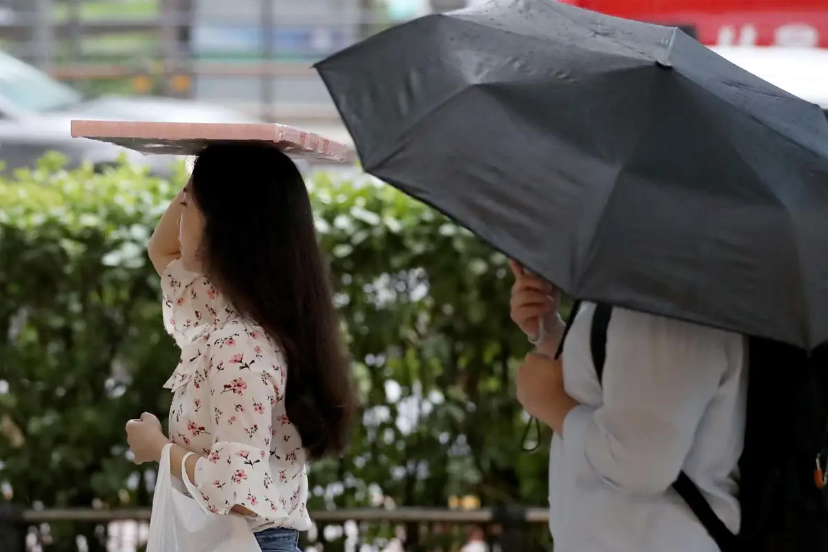 兩人雨天路上行走，一人撐黑色雨傘遮雨，另一人用紙板覆頭防潑水，背景為綠色灌木與街景，突顯梅雨季外出備雨的旅遊提醒