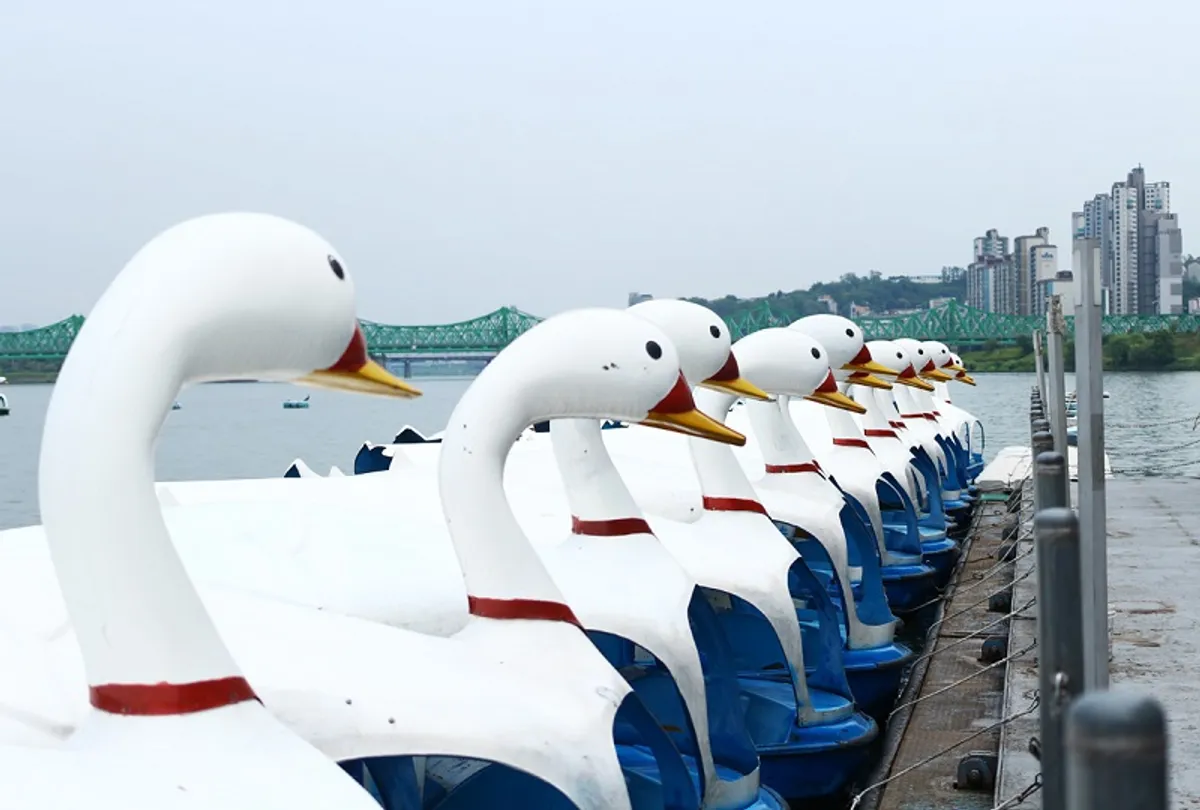 韓國旅行 漢江公園 鴨仔船