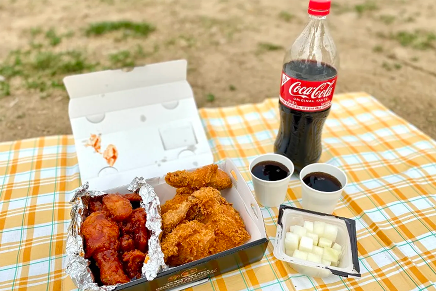 韓國旅行 漢江公園 外賣 炸雞