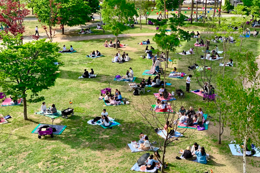 漢江公園 帳篷 推薦