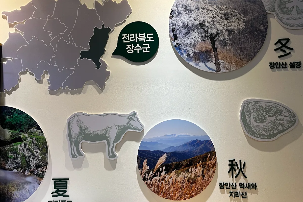 韓牛推薦 韓牛挑選方式 韓國 韓牛