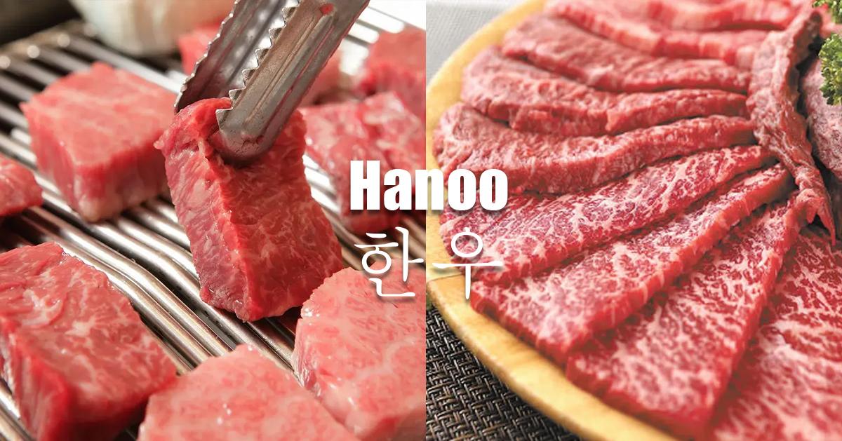 在韓國挑選韓牛(等級/肉質)訣竅