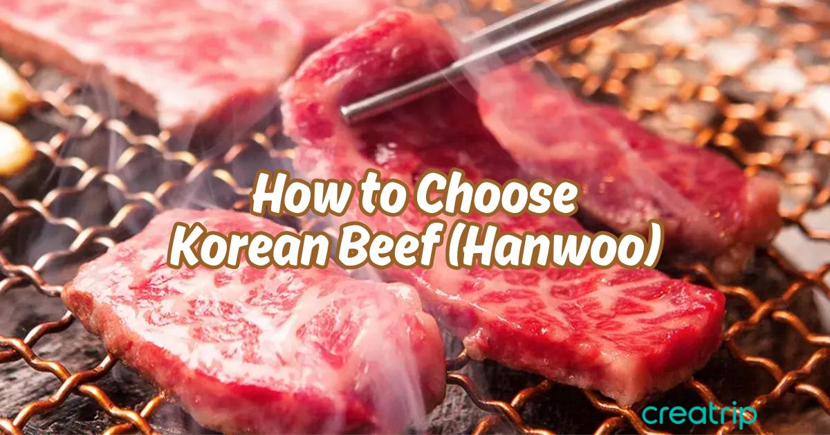 韓國人私藏揀韓牛小貼士/攻略