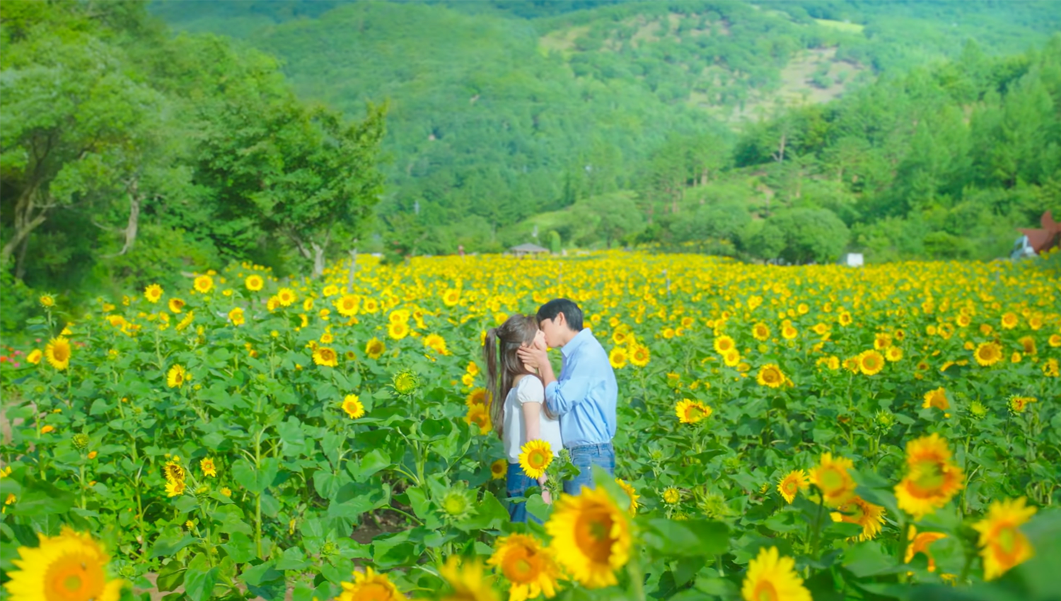 媽媽朋友的兒子 韓劇拍攝地 拍攝場景 媽朋兒 拍攝景點