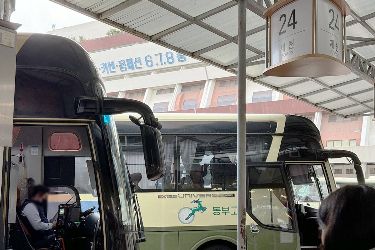 Express buses parked at a terminal, with destination signage for Jecheon.