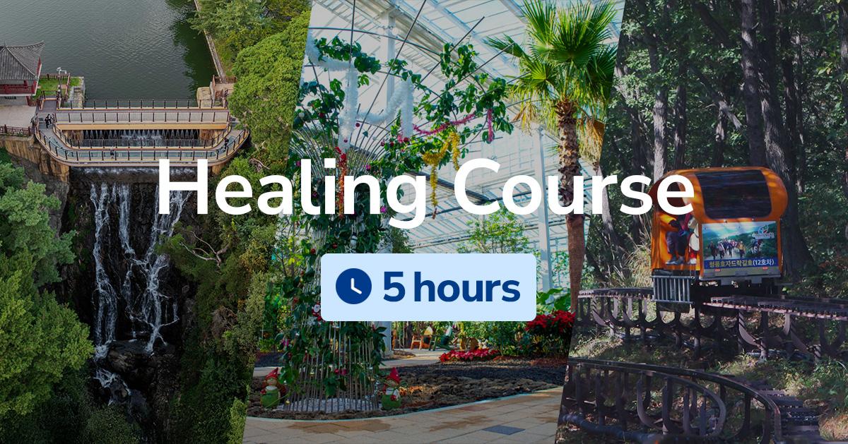 [Jecheon] Sightseeing Taxi Tour Healing Course (5 hours)