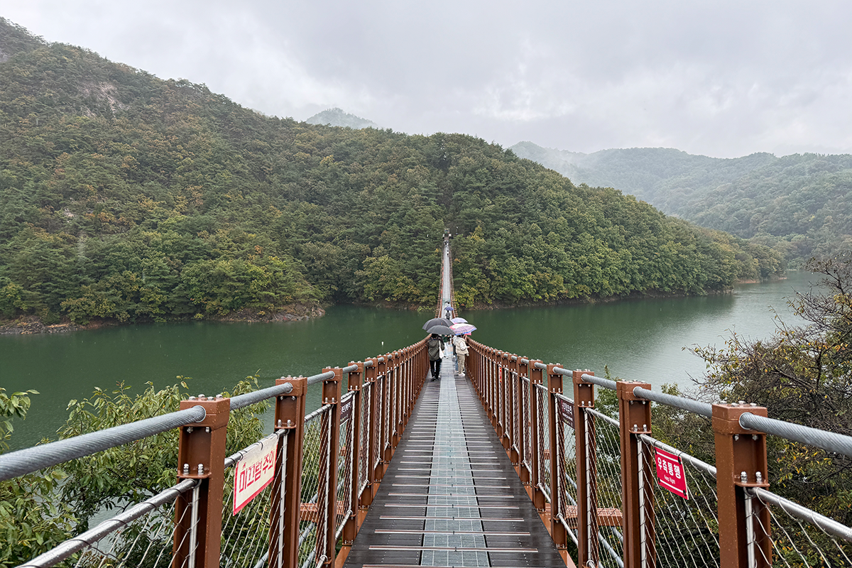 Suspension bridge over Cheongpung Lake leading to Oksunbong with lush forest surroundings in Jecheon