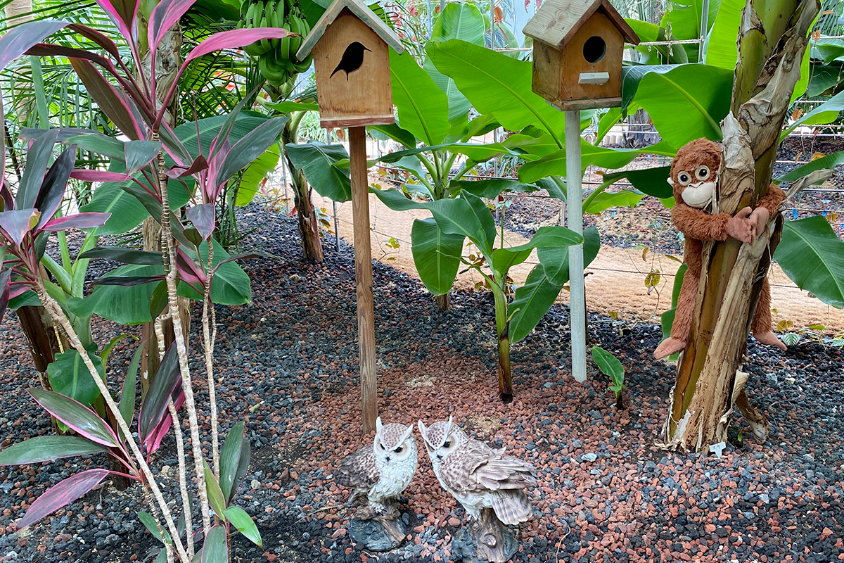 Playful garden decorations nestled among tropical plants in Jecheon’s subtropical greenhouse