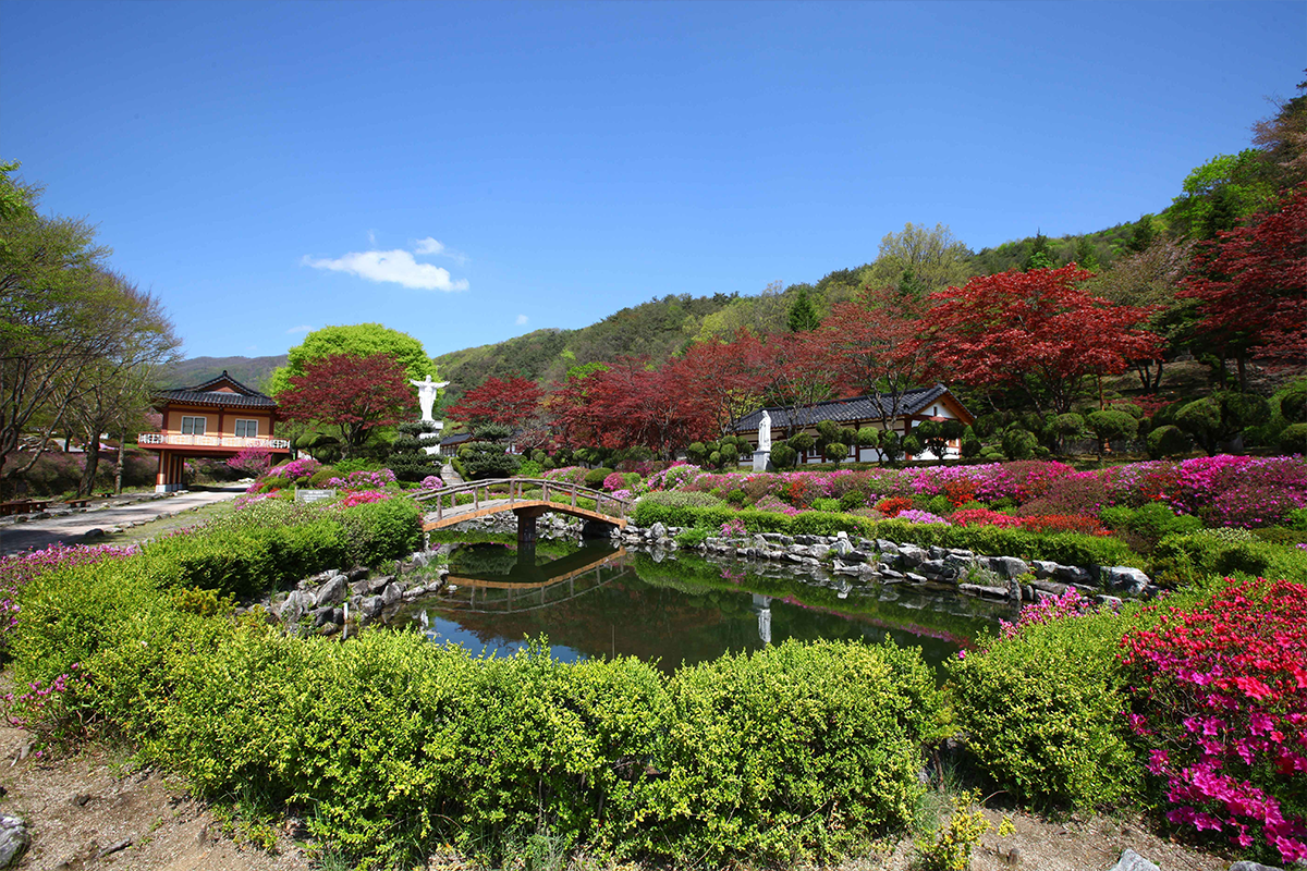 Flourishing garden scenes with traditional architecture at Baeron Holy Ground in Jecheon