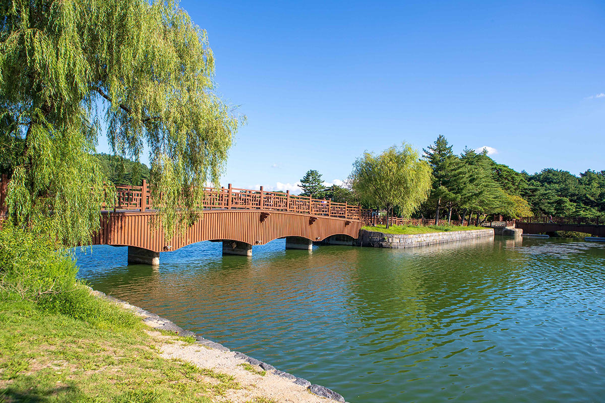 Uirimji Reservoir with a scenic wooden bridge and lush greenery in Jecheon, South Korea