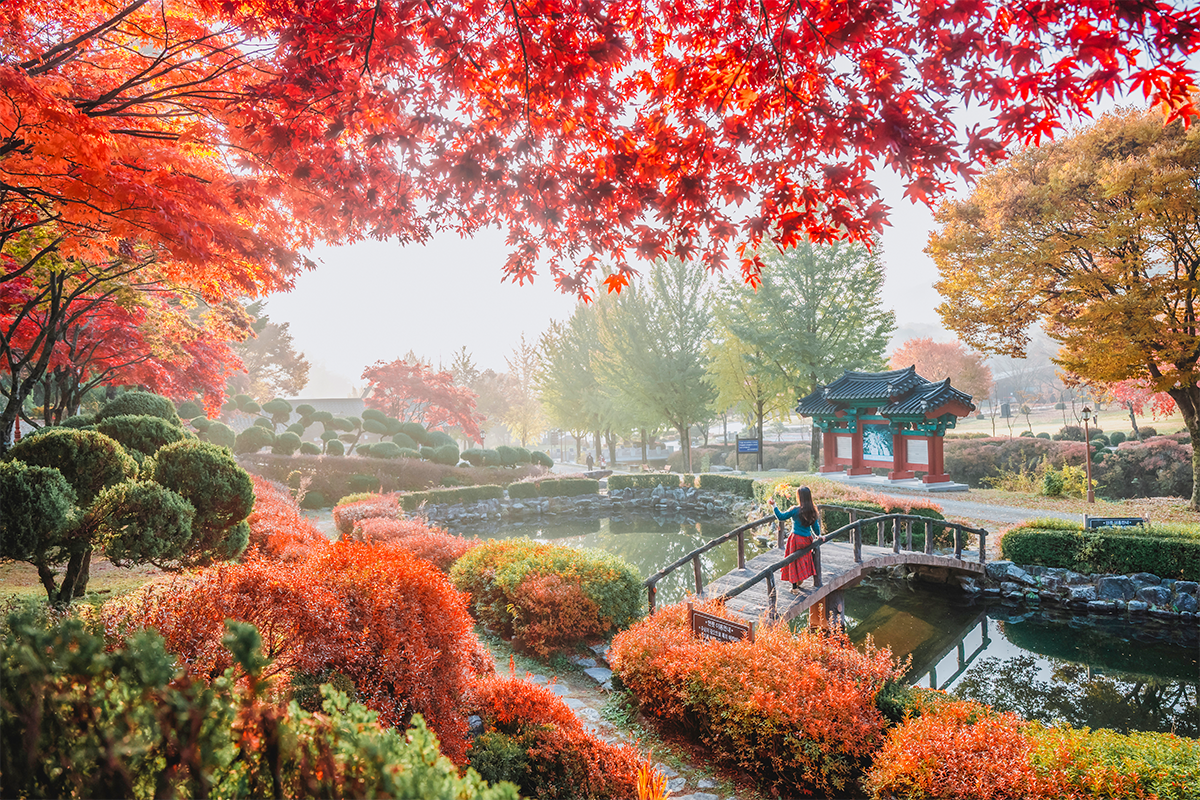 Vibrant autumn colors at Baeron Holy Ground offering peaceful views of landscaped gardens in Jecheon