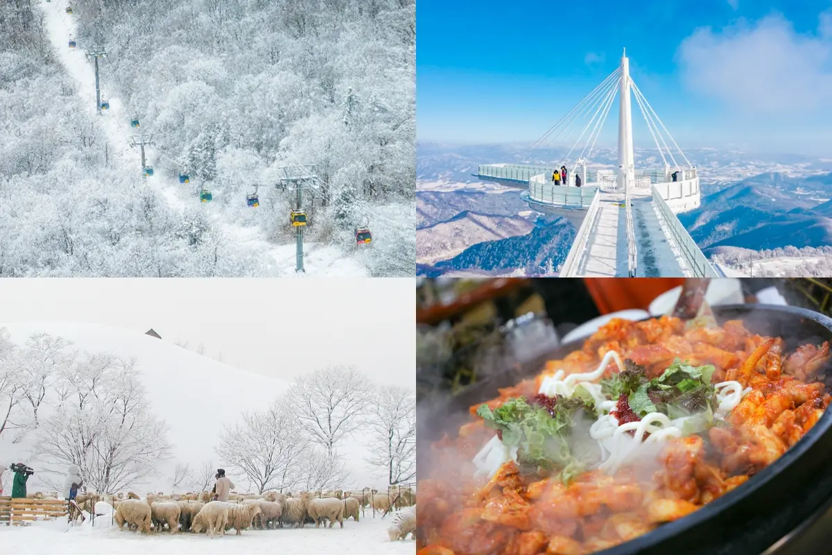 韓國江原道平昌缽旺山的纜車和大關嶺羊群牧場的冬季雪景，以及當地美食烤五花肉。