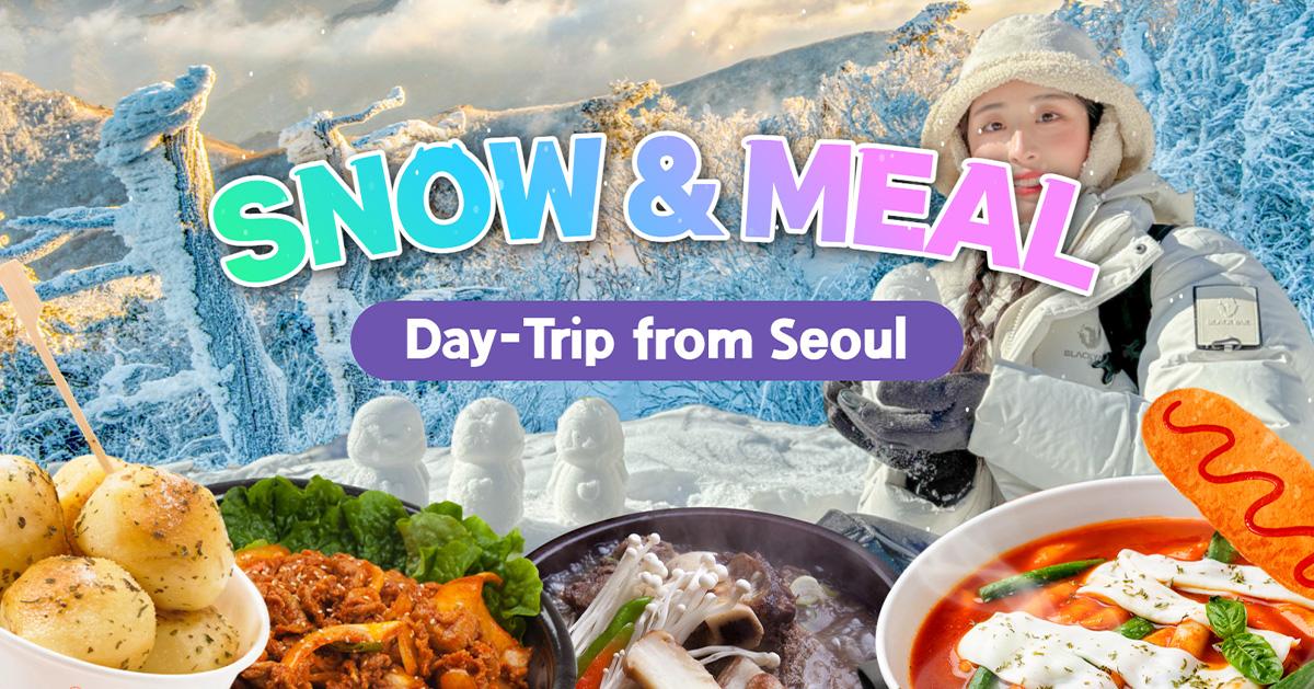 South Korea's Top 5 Snowy Landscapes + Local Cuisine Day Tour | Snow & Meal Tour