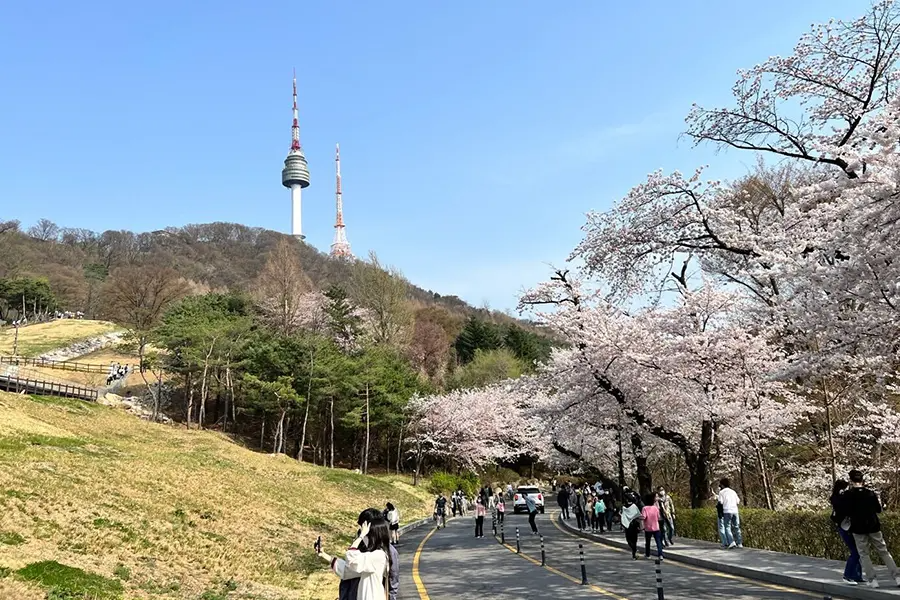 N首爾塔 南山塔 韓國首爾塔 購票 首爾塔觀景台 門票優惠 2025