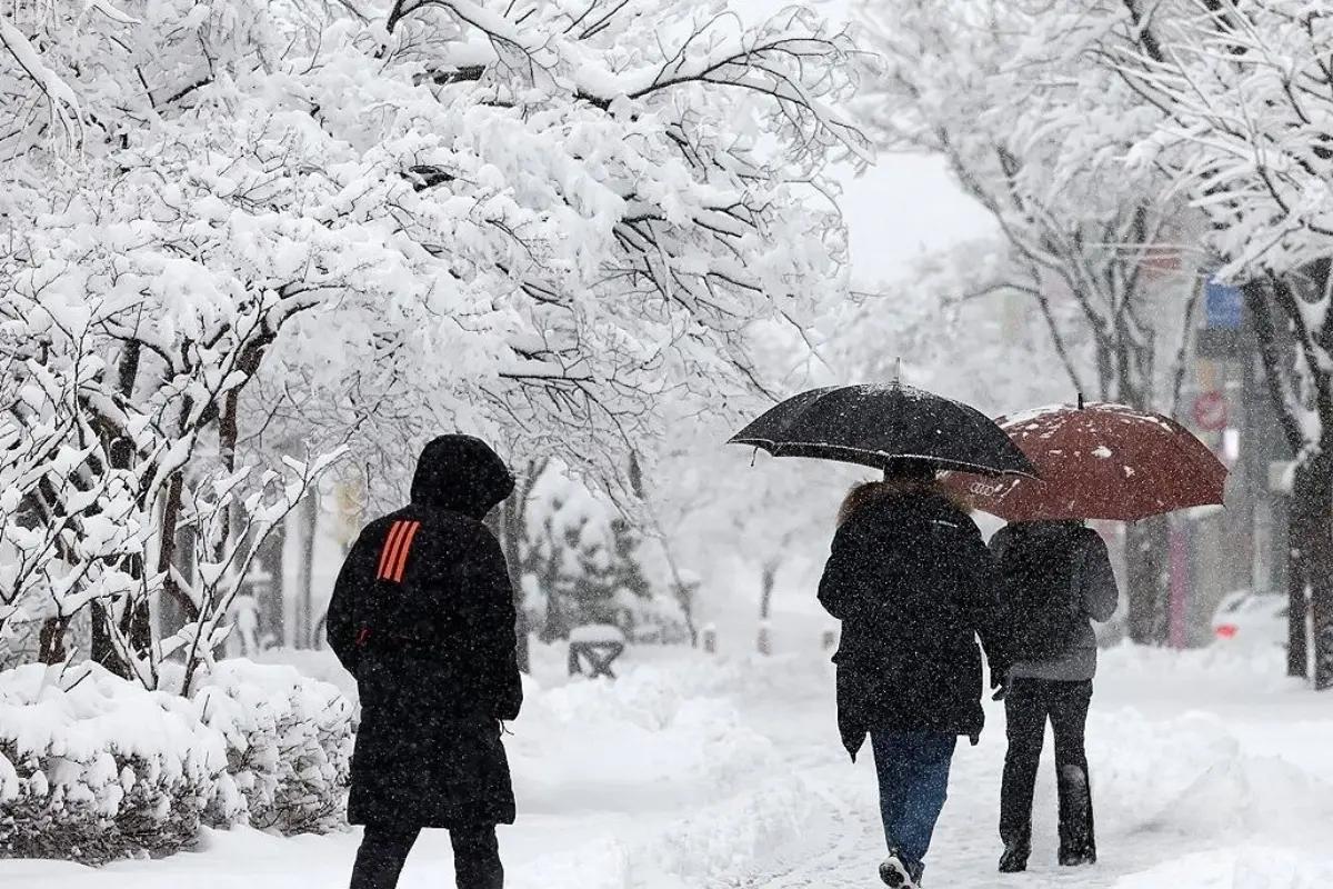 2026年1月韓國旅遊行前須知整理