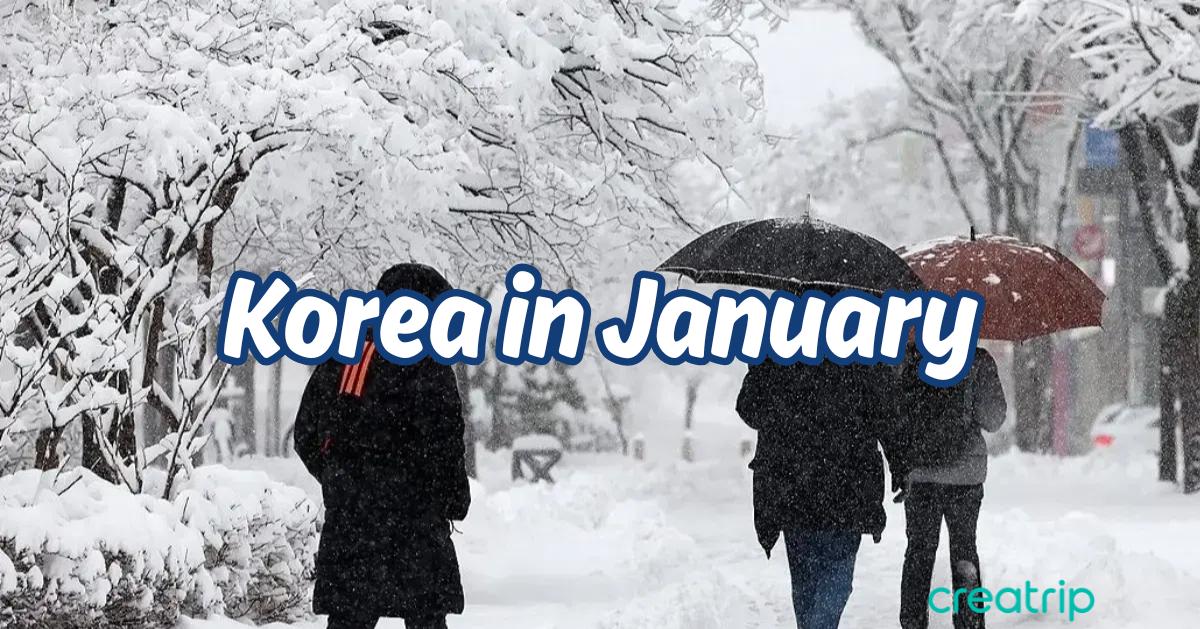 韓國1月天氣&穿搭小貼士