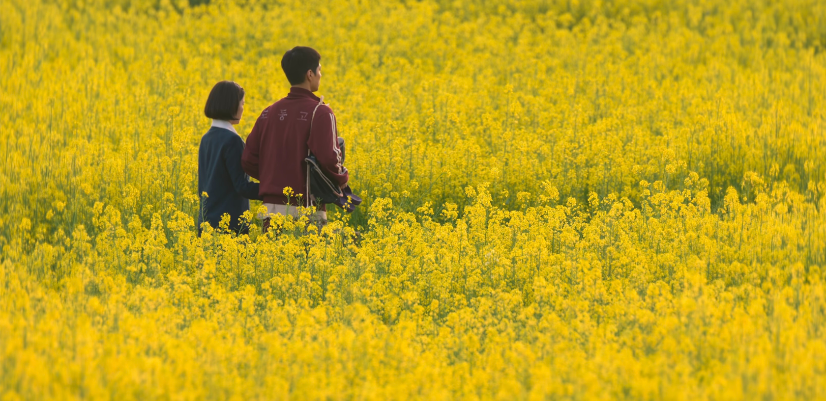 苦盡柑來遇見你 景點 踩點