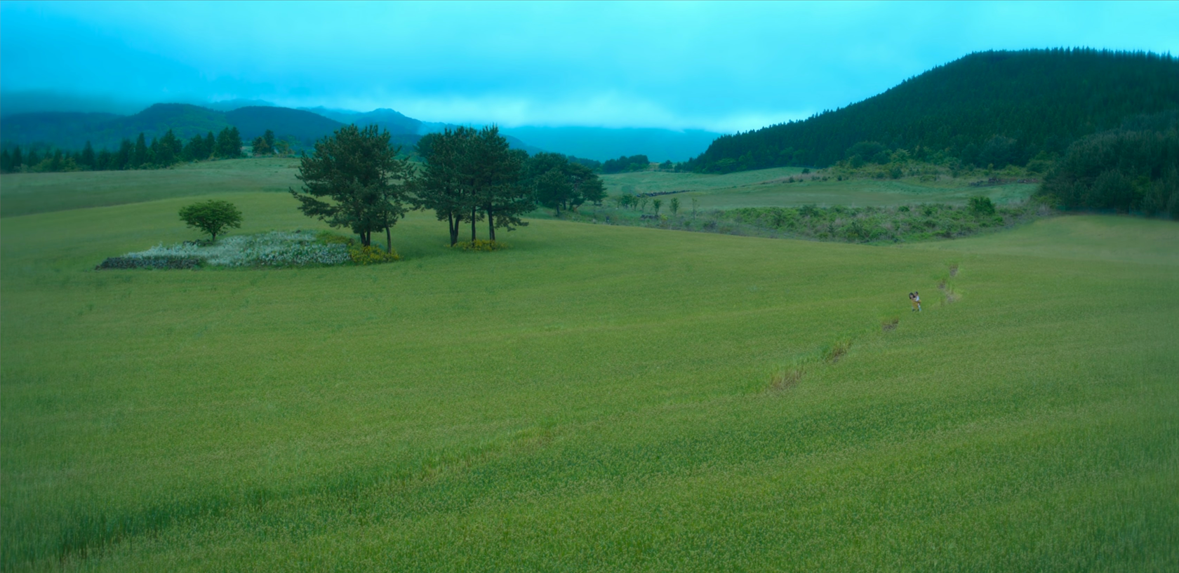 苦盡柑來遇見你 拍攝地 韓劇 苦盡甘來 IU 朴寶劍 韓劇 苦盡柑來遇見你拍攝場景 濟州島
