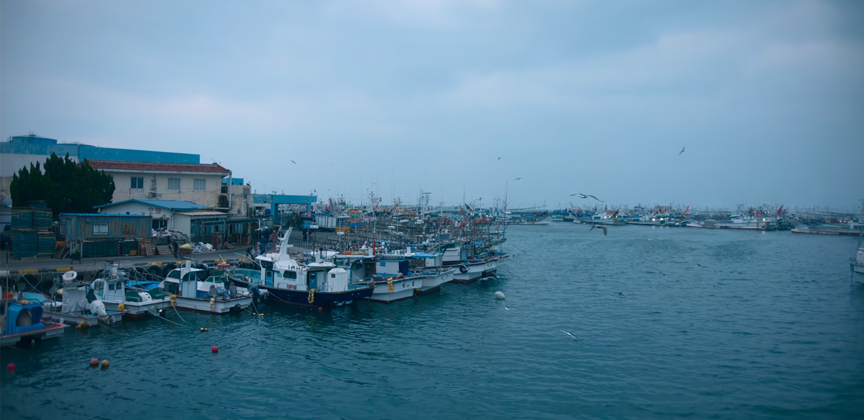 苦盡柑來遇見你 拍攝地 韓劇 苦盡甘來 IU 朴寶劍 韓劇 苦盡柑來遇見你拍攝場景 濟州島‘