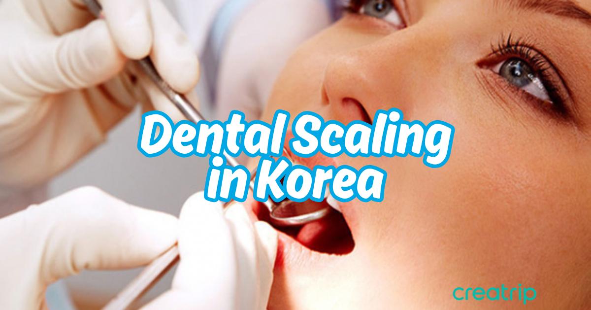 Introduction to Teeth Cleaning Procedures in Korea / Prices / Recommended Clinics
