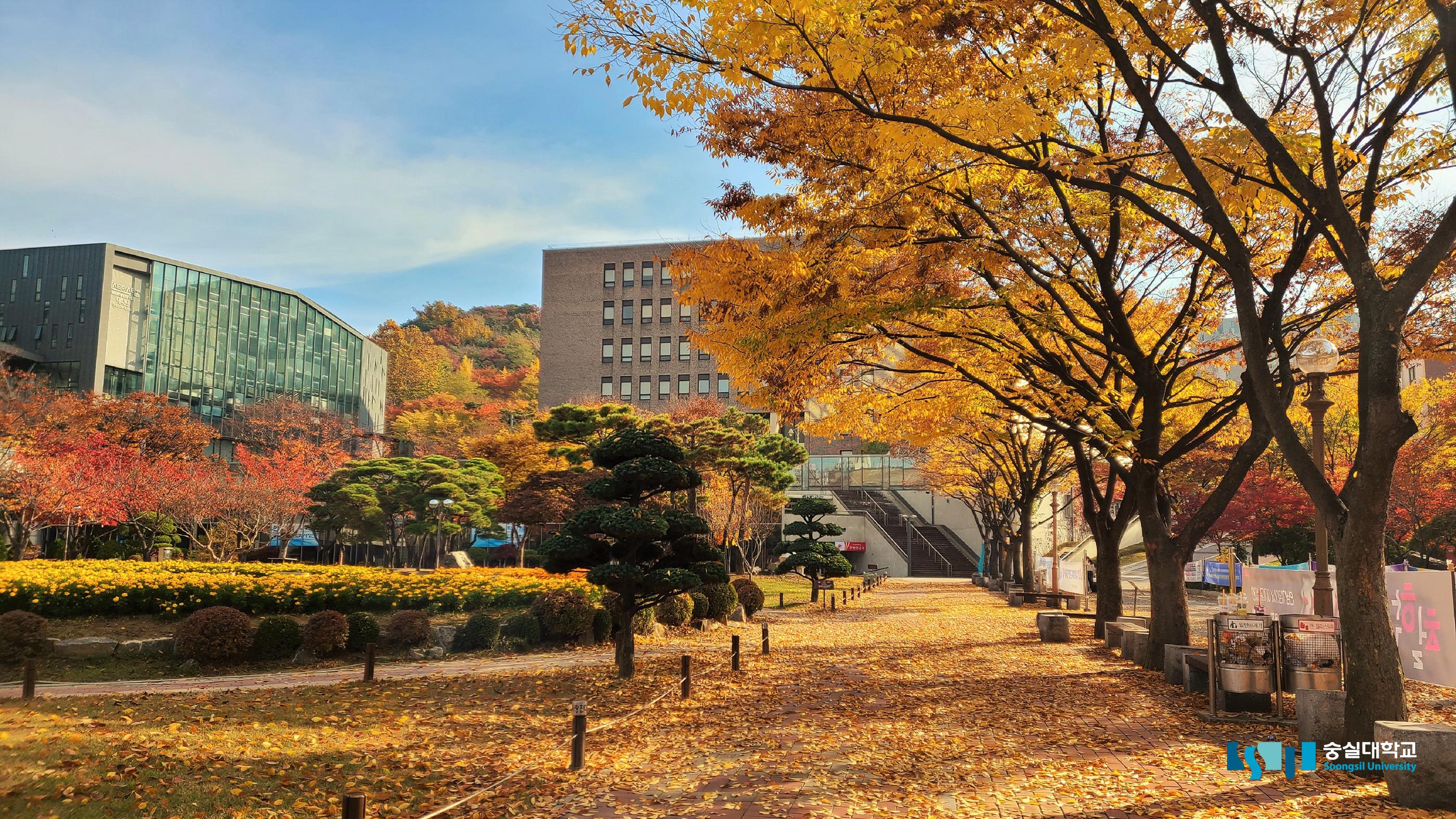 ＜2026年＞崇実（スンシル）大学・語学堂完全ガイド｜特徴・学費・申請方法まで徹底解説