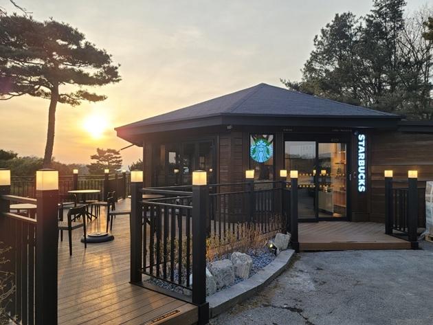 韓国スタバ、韓国変なスタバ、スターバックス、スターバックスコーヒー、韓国スターバックス、韓国のスタバ、韓国独特な店舗、韓国一風変わった店舗、不思議な店舗