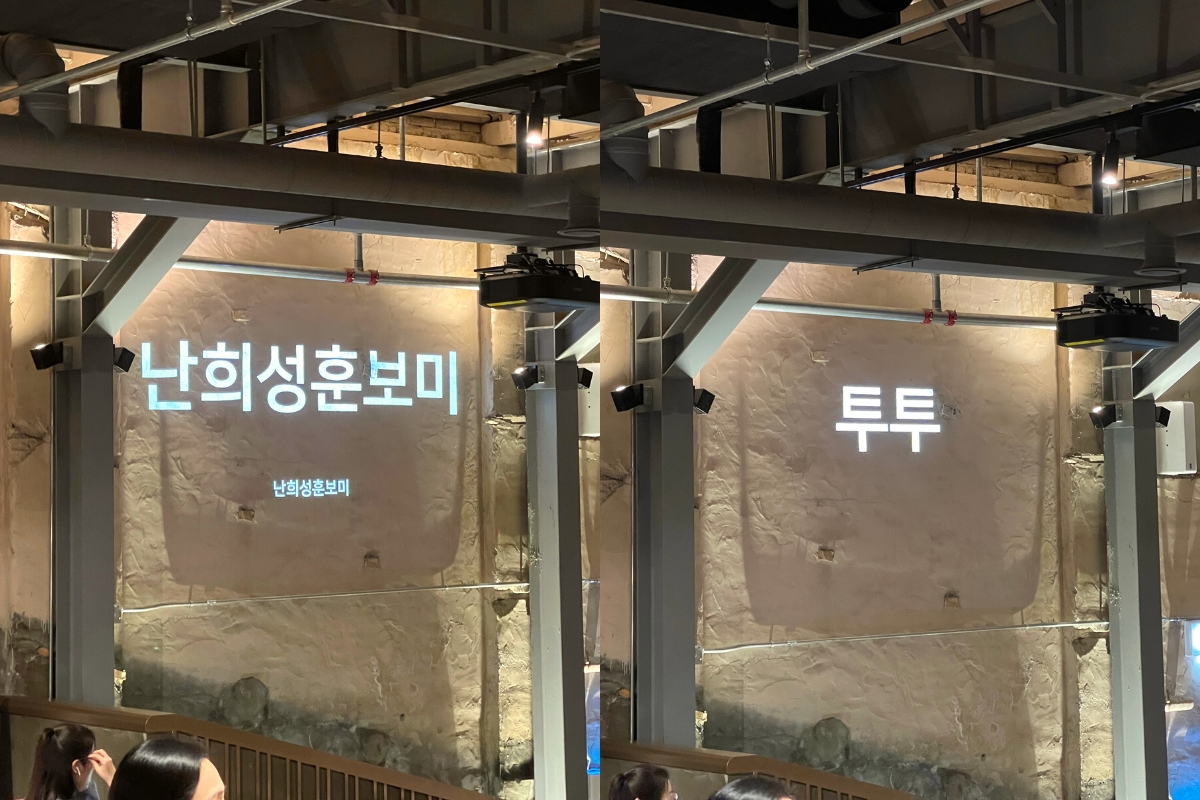 韓国 スタバ 韓国スタバ 韓国スターバックスコーヒー スターバックスコーヒー