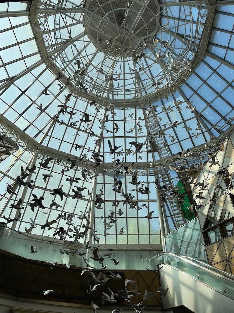 ceiling with hanging birds at starbucks reserve famille park with blue sky visible from glass ceiling 