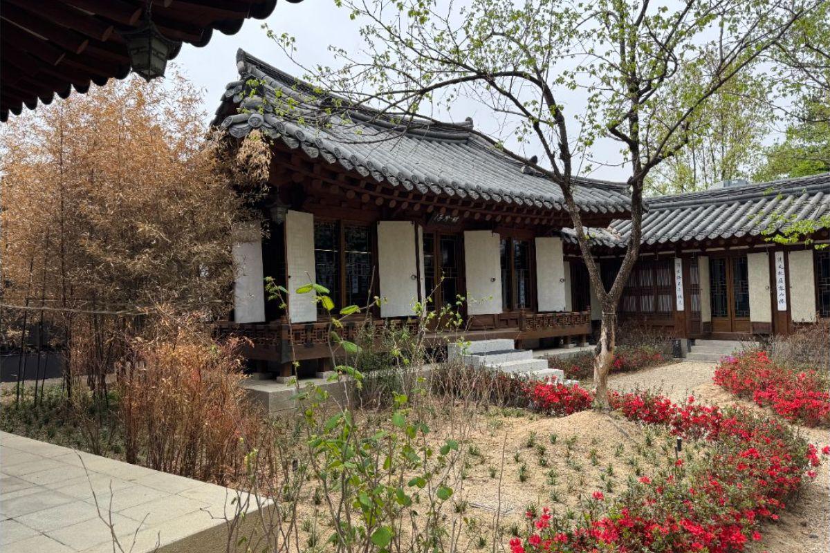 忠武路韓屋庭園一角：傳統瓦頂韓屋建築伴隨陽臺和格窗，庭內種植低矮花叢與灌木，營造寧靜古典的首爾市中心打卡與茶點體驗氛圍（春季景致）。